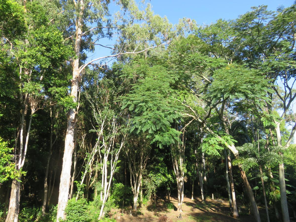 Keillor Lodge เมลเลนี ภายนอก รูปภาพ